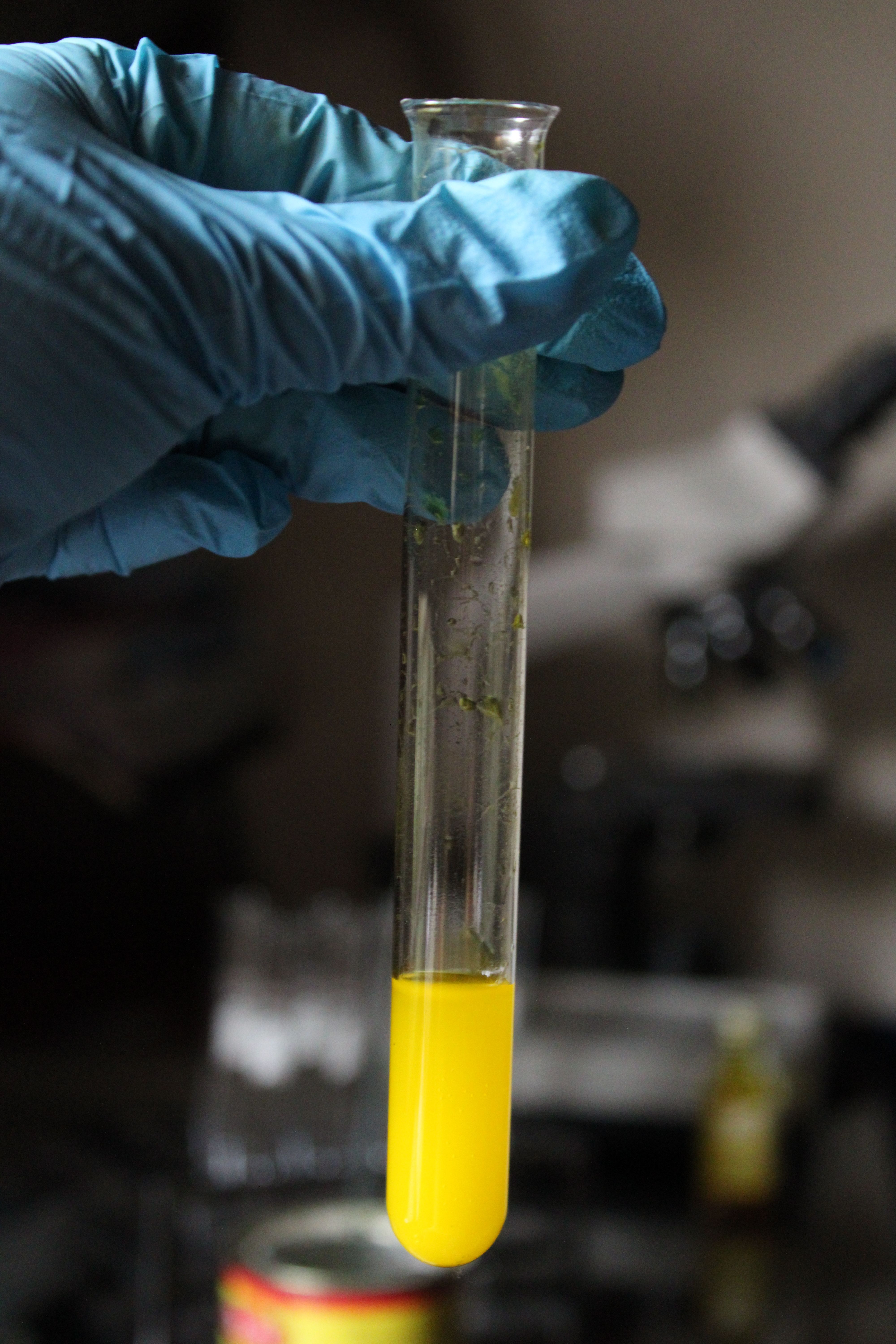 Oral Fluid vs. Urine: A Practical Comparison for Employers